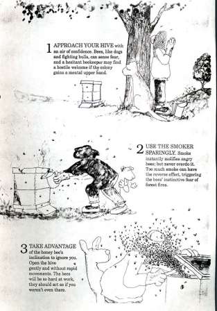 Click to view larger image